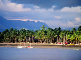 Palms and Beach, Sheraton Royale Hotel, Fiji Photographic Print by Peter Hendrie