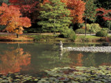 Reflecting Pool in Japanese Garden, Seattle, Washington, USA Photographic Print by Jamie & Judy Wild