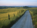 Sunset View of a Gravel Road Winding Through the Tuscan Countryside Valokuvavedos tekijänä Taylor S. Kennedy Sunset View of a Gravel Road Winding Through the Tuscan Countryside Valokuvavedos tekijänä Taylor S. Kennedy