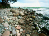 Rocky Coastline and Rainbow, Jasmund National Park, Island of Ruegen, Germany Fotografie-Druck von Christian Ziegler