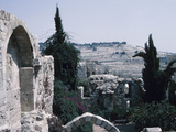 Ruins - Israel, Jerusalem, Photographic Print