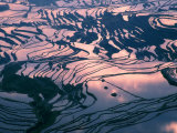 Water-logged Rice Terraces at Sunset, Yunnan Province, China Photographic Print by Keren Su