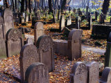 New Jewish Cemetery, Krakow, Poland Photographic Print by Krzysztof Dydynski