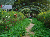 Claude Monet's House and Garden, Giverny, France Photographic Print by Charles Sleicher