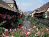 Colmar, Route du Vin, Alsace, France Photographic Print by Nik Wheeler
