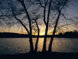 Trees Alongside Jamaica Pond Silhouetted by the Setting Sun Photographic Print by Melissa Farlow