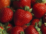 Fresh Strawberries Photographic Print by Taylor S. Kennedy