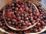 Nutmeg in Public Market, Castries, Caribbean Lámina fotográfica por Greg Johnston Nutmeg in Public Market, Castries, Caribbean Lámina fotográfica por Greg Johnston