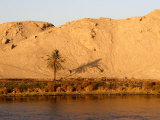 Palm Tree on the Bank of the Nile River, Egypt Lámina fotográfica por Michele Molinari Palm Tree on the Bank of the Nile River, Egypt Lámina fotográfica por Michele Molinari