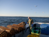A Lobsterman Prepares to Release His Traps Photographic Print by Taylor S. Kennedy