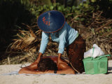 A Visitor Relaxes with a Massage at Kuta Beach, a Mekka for Tourists Photographic Print by Michael S. Yamashita