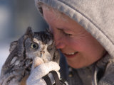 A Woman Holds an Endangered Eastern Screech Owl at a Recovery Center Fotografie-Druck von Joel Sartore