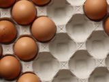 Container of Eggs Photographic Print