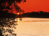 Trees Near Water at Sunset - Key West, FL Lámina fotográfica por Larry Lipsky