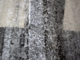 Tire Tracks and Footprints Run Through Melting Snow in a Crosswalk Photographic Print by Cotton Coulson