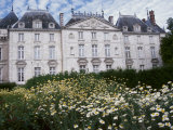 Patch of Daisies in Front of Mansion Lámina fotográfica Patch of Daisies in Front of Mansion Lámina fotográfica