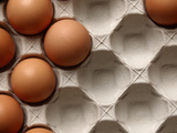 Close-up of Fresh Brown Eggs in a Cardboard Carton Photographic Print