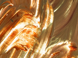 Close-up of Bright Colorful Paint Smears Photographic Print