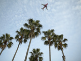 Plane Flying Over Tropical Palm Trees Photographic Print