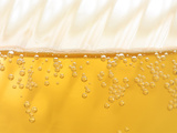 Glass of Beer Photographic Print