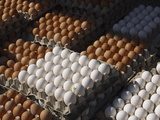 Stacks of Fresh White and Brown Eggs in Sectioned Cardboard Cartons Photographic Print
