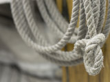 Coil of Gray Rope Lámina fotográfica Coil of Gray Rope Lámina fotográfica