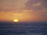 Kayaker Paddles in the Atlantic Ocean Off of Cape Hatteras Photographic Print by Skip Brown