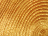 Textured Background Lámina fotográfica