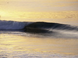 Sunrise Shines on a Breaking Wave Photographie par Rich Reid