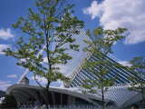 Exterior View of the Quadracci Pavilion at the Milwaukee Art Museum Photographic Print by Paul Damien