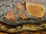 Detail of Eroded Rocks Swirled with Colors and Patterns Lámina fotográfica por Charles Kogod