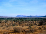 Samburu Plains, Kenya Photographic Print by Elizabeth DeLaney