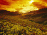 Fiery Sunset over the Ogilvie Mountains Photographic Print by Paul Nicklen