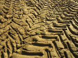 Dirt Field with Tire Tracks Photographic Print