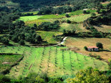 Aerial of Farmland, Crete, Greece Lámina fotográfica por John Elk III Aerial of Farmland, Crete, Greece Lámina fotográfica por John Elk III