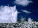 Prince of Wales Feather Geyser at Whakarewarewa Thermal Reserve, Rotorua, New Zealand Photographie par Johnson Dennis