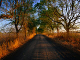A Corrugated Dirt Road Through Farm Land in the Western District, Noorat, Victoria, Australia Photographic Print by John Hay
