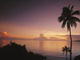 Palm Trees Silhouetted against Sky and Ocean at Sunrise Lámina fotográfica por Mark Cosslett Palm Trees Silhouetted against Sky and Ocean at Sunrise Lámina fotográfica por Mark Cosslett