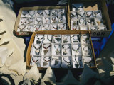 A Display of Shark Tooth Jewelry Fotografisk trykk av Clarita Berger