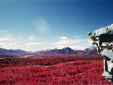 Alberta, Canada Photographic Print