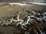 Aerial of Tentacle-Like Branches of Soda Lake in the Carrizo Plain, Mojave Desert, USA Photographie par Jim Wark