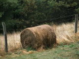 Barbed Wire Fence and Hay Roll in Farmers Field, Tye River Gap Fotografiskt tryck av Raymond Gehman Barbed Wire Fence and Hay Roll in Farmers Field, Tye River Gap Fotografiskt tryck av Raymond Gehman