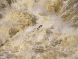 Kayaker Digs Himself out of a Big Hole in Potomac River Rapids Photographic Print by Skip Brown