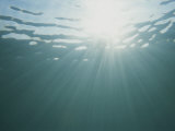 Rays of Sunight Reach into the Gulf of Mexico Photographic Print by Stephen Alvarez