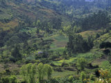 Andean Valley, Colombia Photographic Print