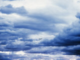 Airplane in Cloudy Blue Sky Photographic Print by Lonnie Duka Airplane in Cloudy Blue Sky Photographic Print by Lonnie Duka