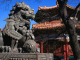 Lion Statue at Lama Temple Bejing, China Photographie par Glenn Beanland