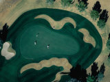 Aerial View of Golf-Course Green, Tucson, Arizona, USA Photographic Print by Jim Wark