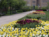 Lytle Park, Cincinnati, Ohio, USA Photographic Print