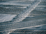 4Wd Tyre Tracks on Sand, Fraser Island, Queensland, Australia Photographic Print by Tony Wheeler